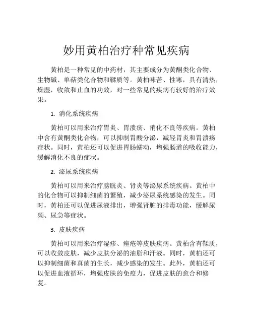 妙用黄柏治疗种常见疾病