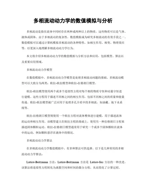 多相流动动力学的数值模拟与分析