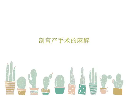 剖宫产手术的麻醉38页PPT