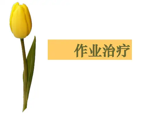 作业治疗ppt课件