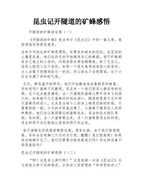 昆虫记开隧道的矿蜂感悟