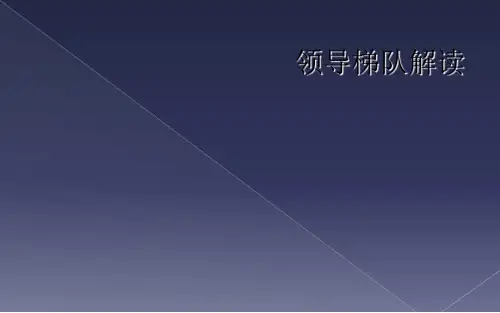 领导梯队解读