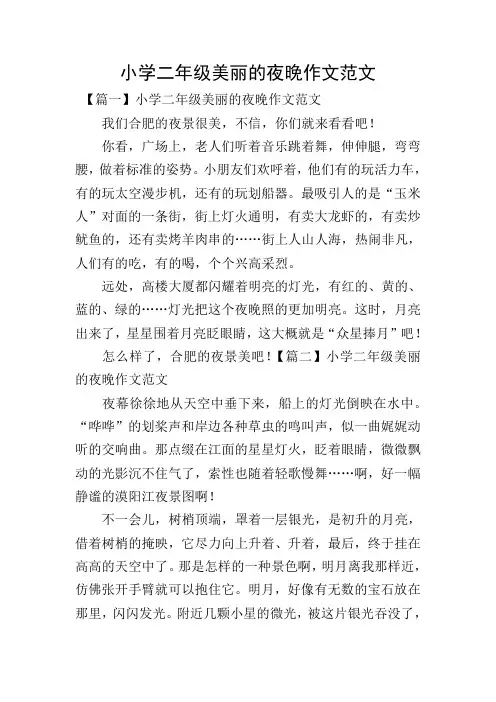 小学二年级美丽的夜晚作文范文