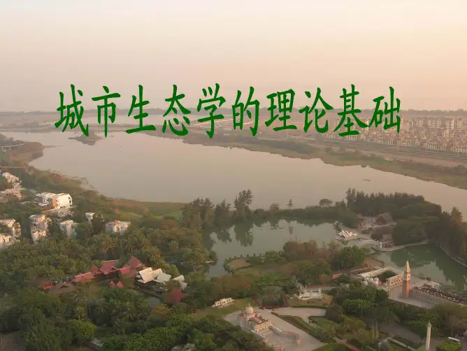 城市生态学的理论基础