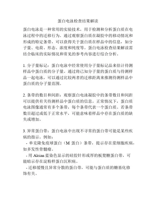 蛋白电泳检查结果解读