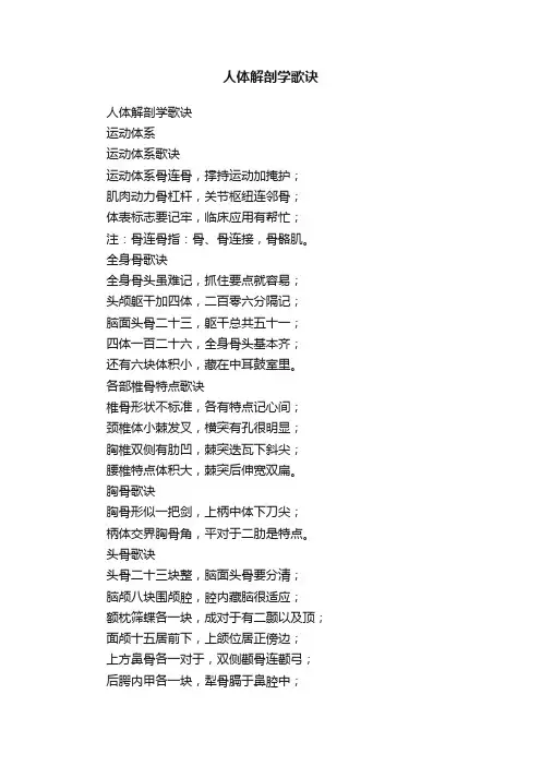 人体解剖学歌诀