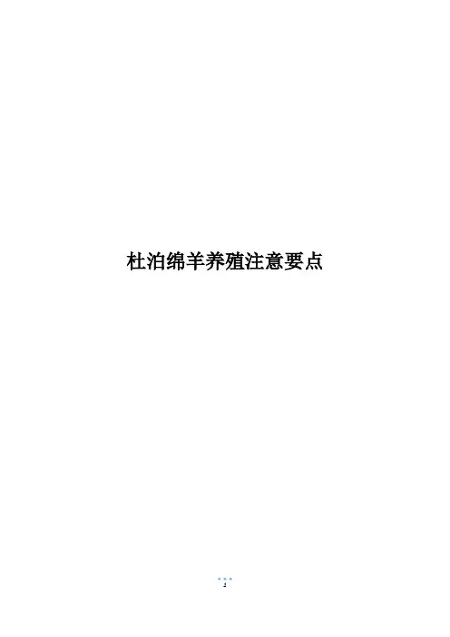 杜泊绵羊养殖注意要点