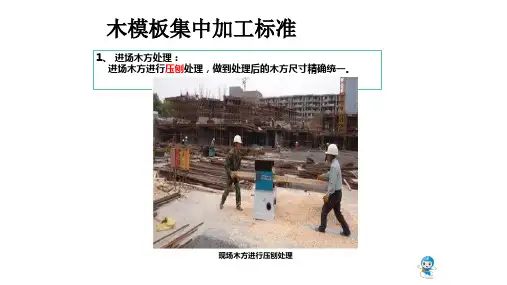 木模板集中加工标准