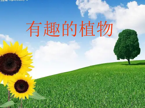 小学品德与生活一年级下册有趣的植物-课件