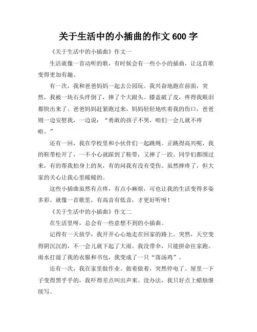关于生活中的小插曲的作文600字