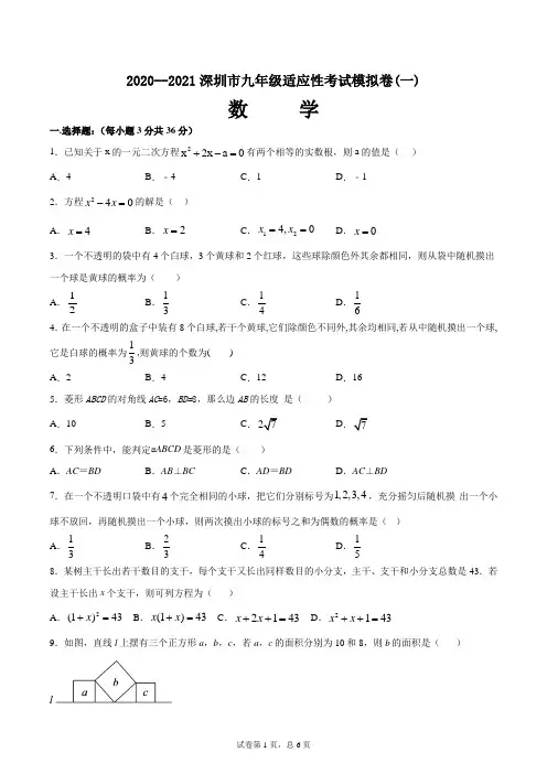 2020--2021深圳市九年级适应考试模拟卷(一)(学生版)