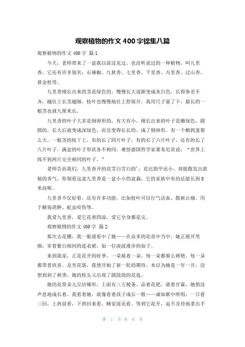 观察植物的作文400字锦集八篇