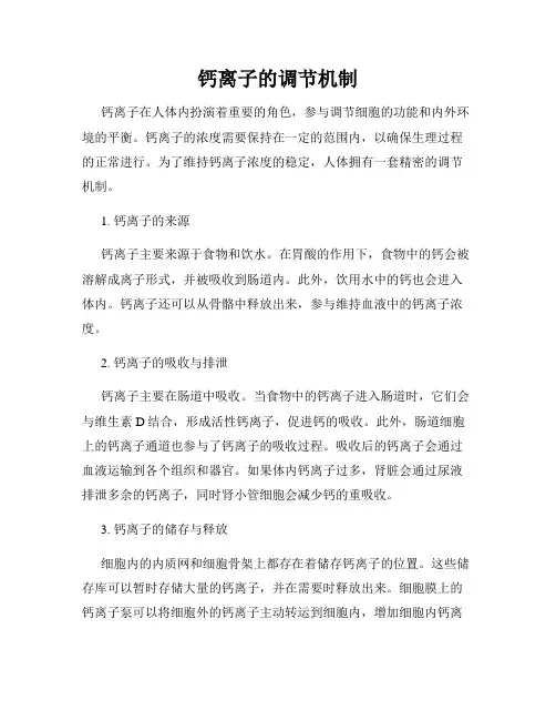 钙离子的调节机制