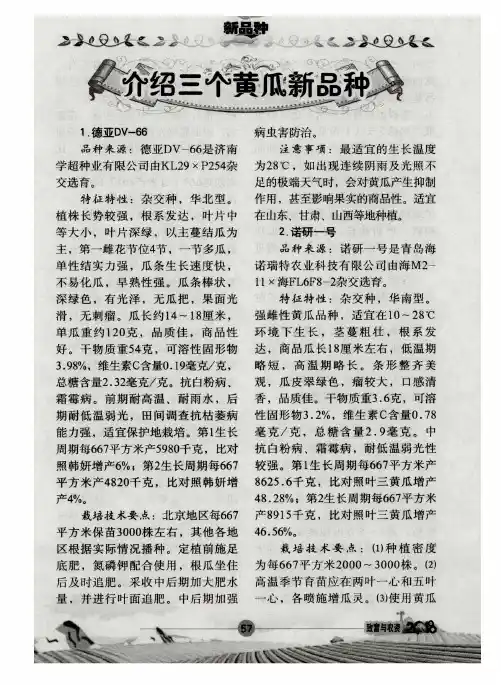 介绍三个黄瓜新品种
