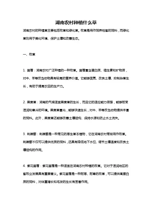 湖南农村种植什么草
