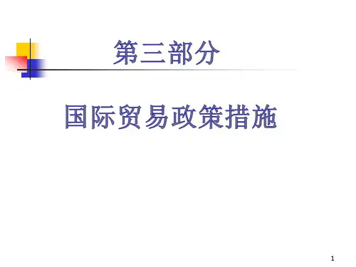 国际贸易政策措施XXXX