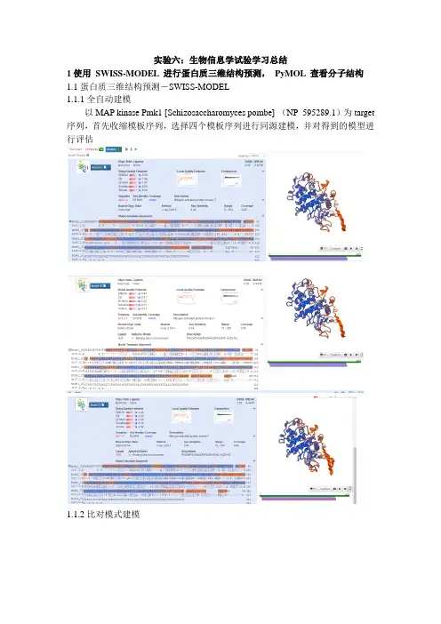 生物信息学 实验六 蛋白质高级结构预测