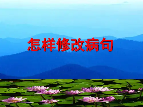 小学修改病句综合 ppt课件