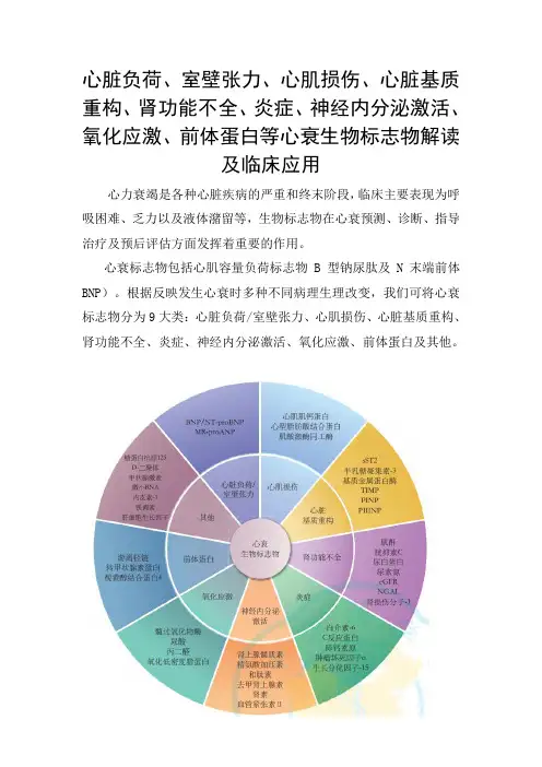 心脏负荷、室壁张力、心肌损伤、心脏基质重构、肾功能不全、氧化应激、其他等心衰生物标志物解读及临床应用
