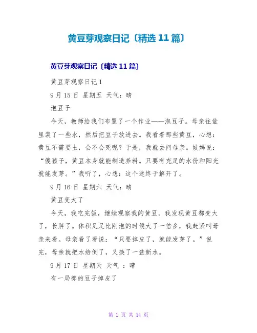 黄豆芽观察日记(11篇)