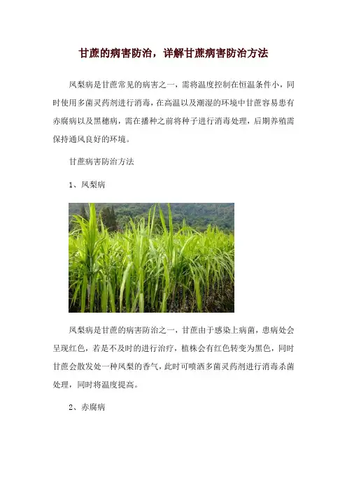 甘蔗的病害防治,详解甘蔗病害防治方法