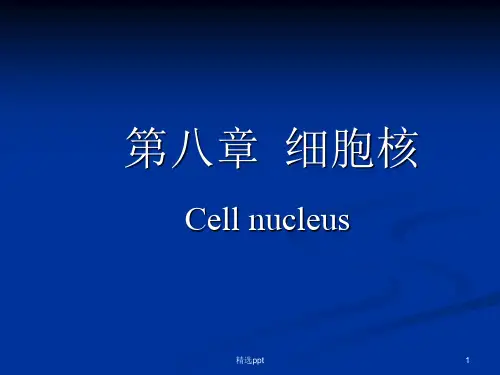 《细胞核讲课用》PPT课件