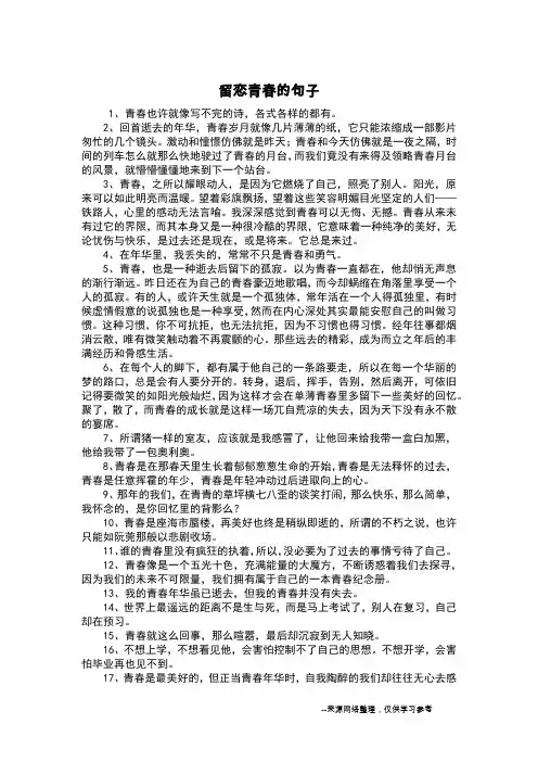 留恋青春的句子