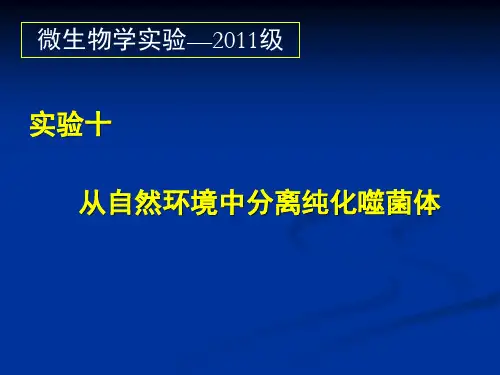实验十一 从自然环境中分离纯化噬菌体