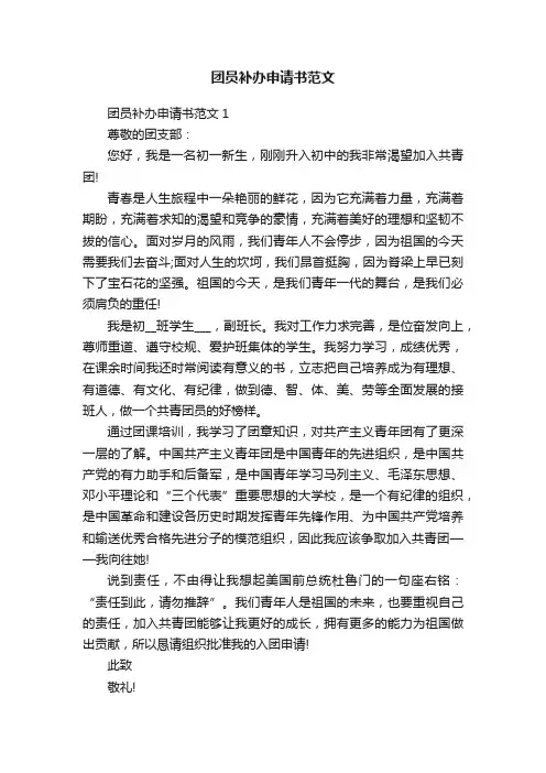 团员补办申请书范文