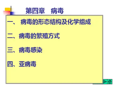 《药用微生物》第四章 病毒