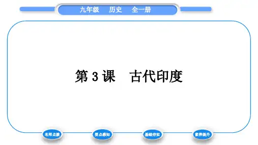 人教版九年级历史上第1单元古代亚非文明第3课 古代印度习题课件