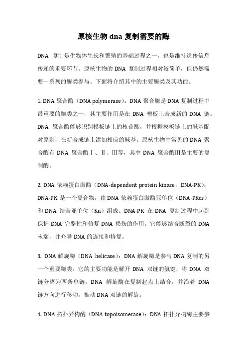 原核生物dna复制需要的酶