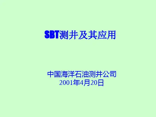 SBT测井及其应用