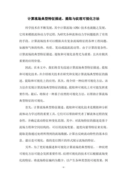 计算流场典型特征描述、提取与纹理可视化方法