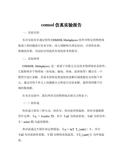 comsol仿真实验报告