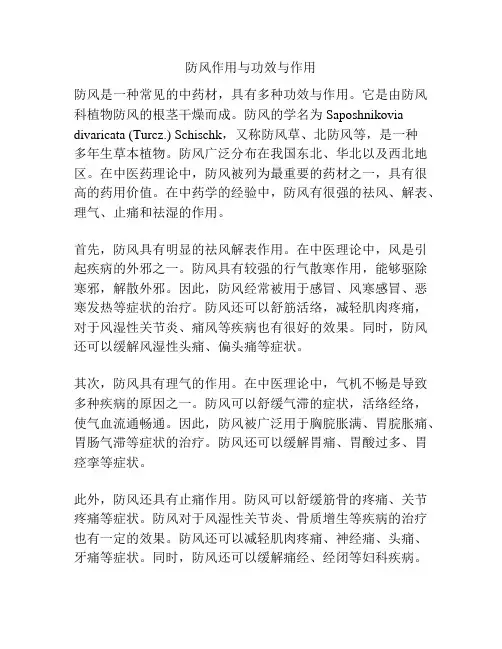 防风作用与功效与作用