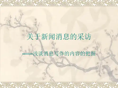 新闻消息采访.ppt