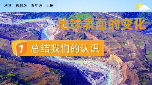 教科版五年级科学上册第二单元《7 总结我们的认识》课堂教学课件PPT小学公开课