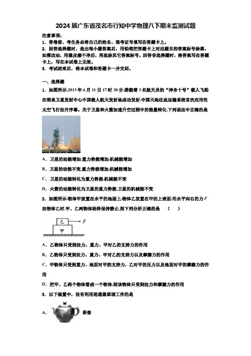 2024届广东省茂名市行知中学物理八下期末监测试题含解析