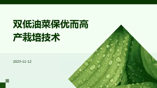 双低油菜保优而高产栽培技术