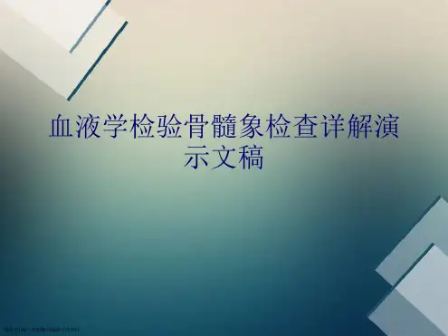 血液学检验骨髓象检查详解演示文稿