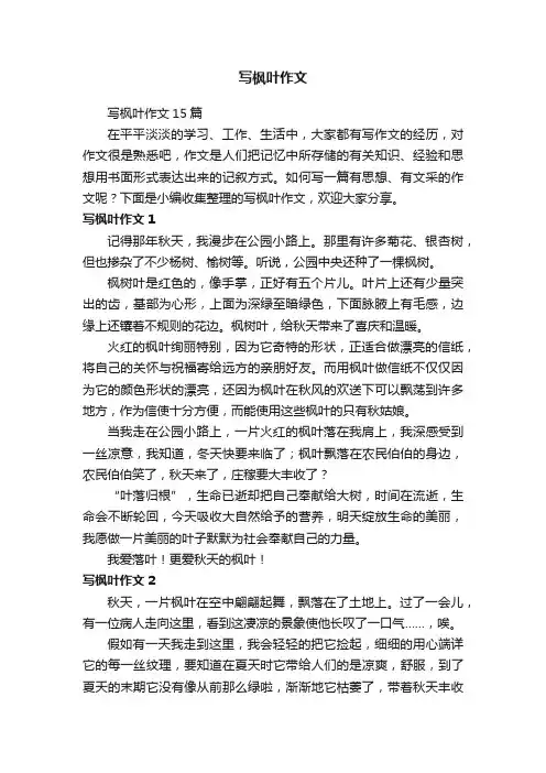 写枫叶作文15篇
