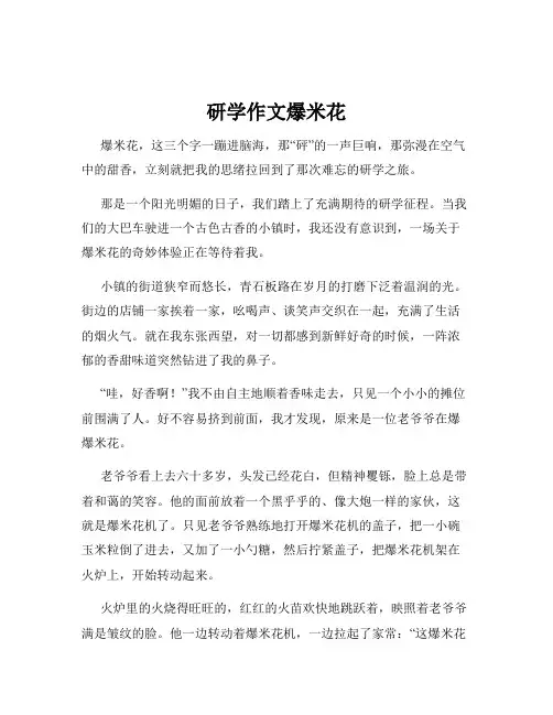 研学作文爆米花