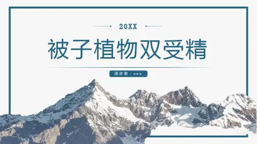 被子植物双受精