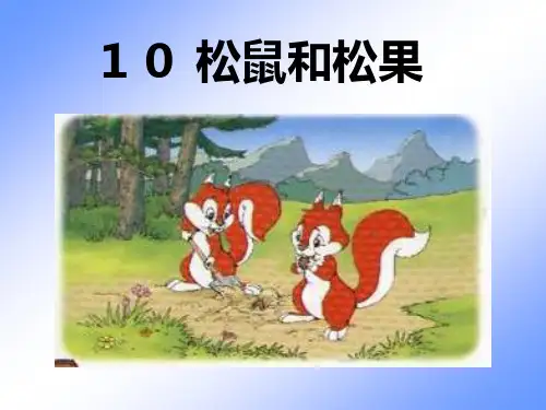 松鼠和松果PPT课件