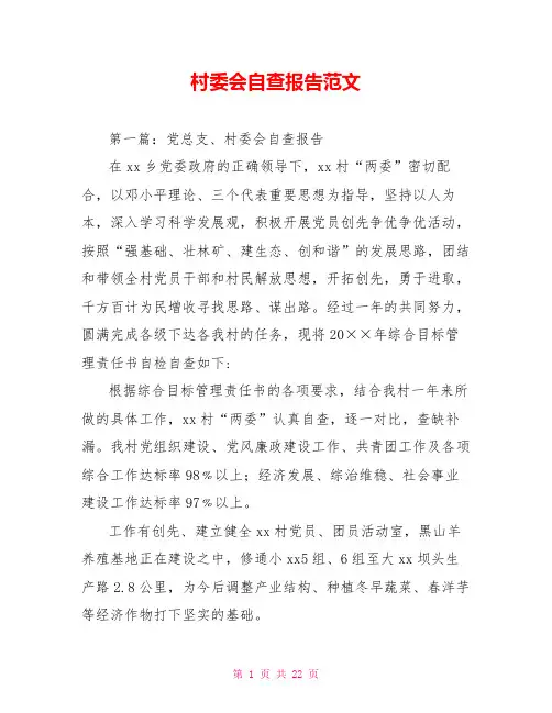 村委会自查报告范文