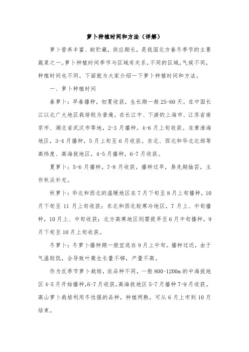 萝卜种植时间和方法(详解)