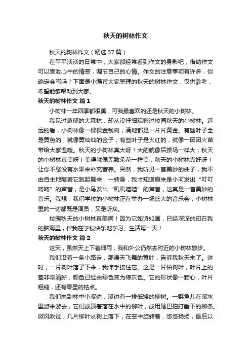 秋天的树林作文（精选37篇）