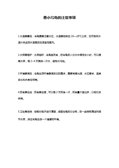 养小乌龟的注意事项