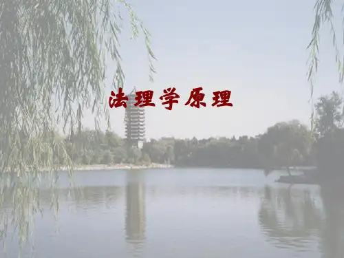 法理学_完整版_ppt